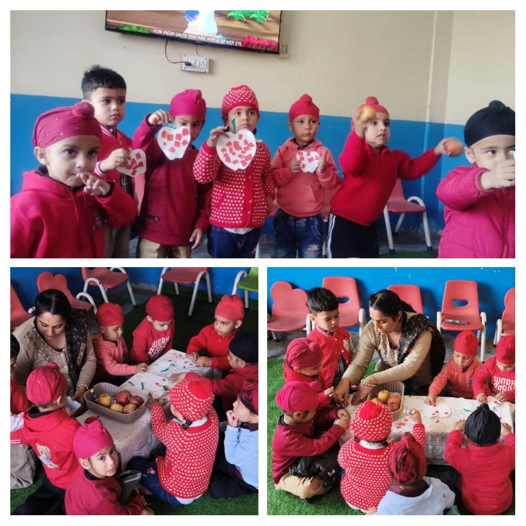 IMG 20251121 110132 COLLAGE